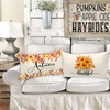 Ywlake Fall 12x20 Throw Pillow Covers Set of 4, Pumpkin