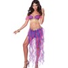 California Costumes Women's Belly Dancer Sexy Two Piece Genie Costume,