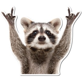 Rocking Raccoon Sticker, Funny Raccoon Cute Car Decal 5.5-Inches Decal Car Laptop Wall Window Bumper Sticker AWPS109