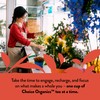 Choice Organics - Organic Rooibos Tea (3 Pack) - Fair
