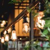 Warm Edison Light Bulbs, 60 Watt A19 Vintage Incandescent Light