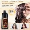 Shampoo Tinte Cubre Canas Contiene Extracto De Ginseng 500ml