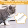 AYESY Indoor Cat Toys，5 Pack Self-Play Hanging Door Interactive Entertain