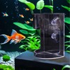 Aquarium Feeder - Clear Fish Feeders for Aquariums - Anti-Drifting