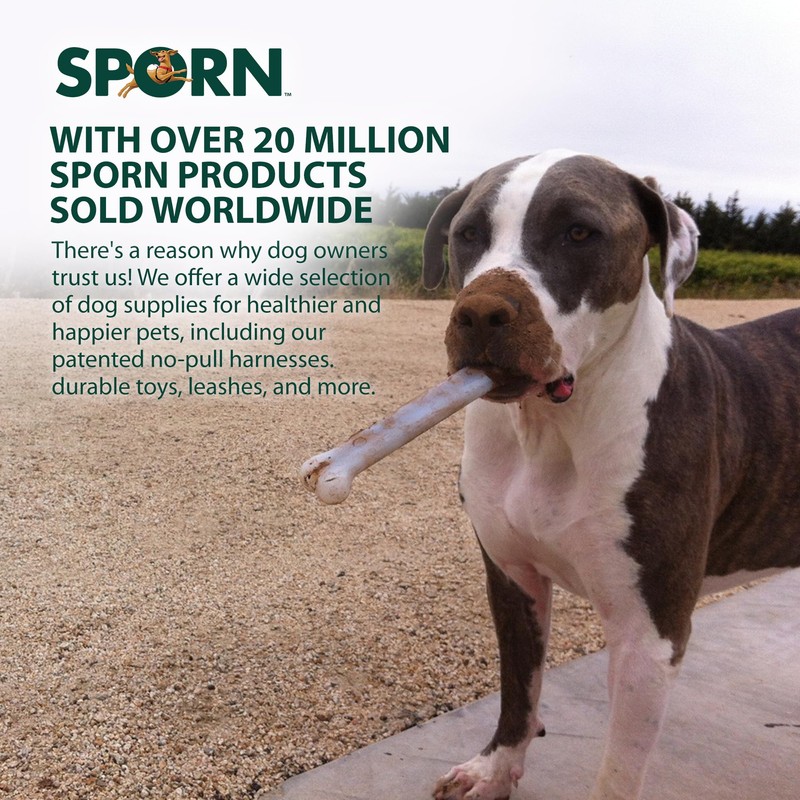 Sporn Marrow Dog Chew Bones for Aggressive Chewers, Jerky Flavor
