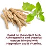 fabÜ R&R Relax - Botanical Relaxation Supplement with Vitamins and
