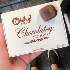 No Whey Foods- Chocolatey Fudge (6 Pieces) - Allergy Friendly and Vegan Chocolate Candy - Dairy Free, Nut Free, Peanut Free, Soy Free, Gluten Free