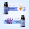 Majestic Pure, Restful Night Essential Oil Gift Set | Pack
