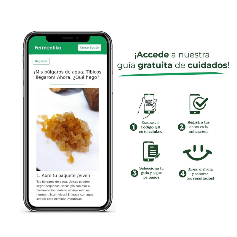 kefir tibicos bulgaros de agua hongos del tíbet probióticos