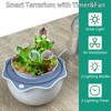 Ronjregan Smart Planter with Timer and Fan, Small Terrarium Kit