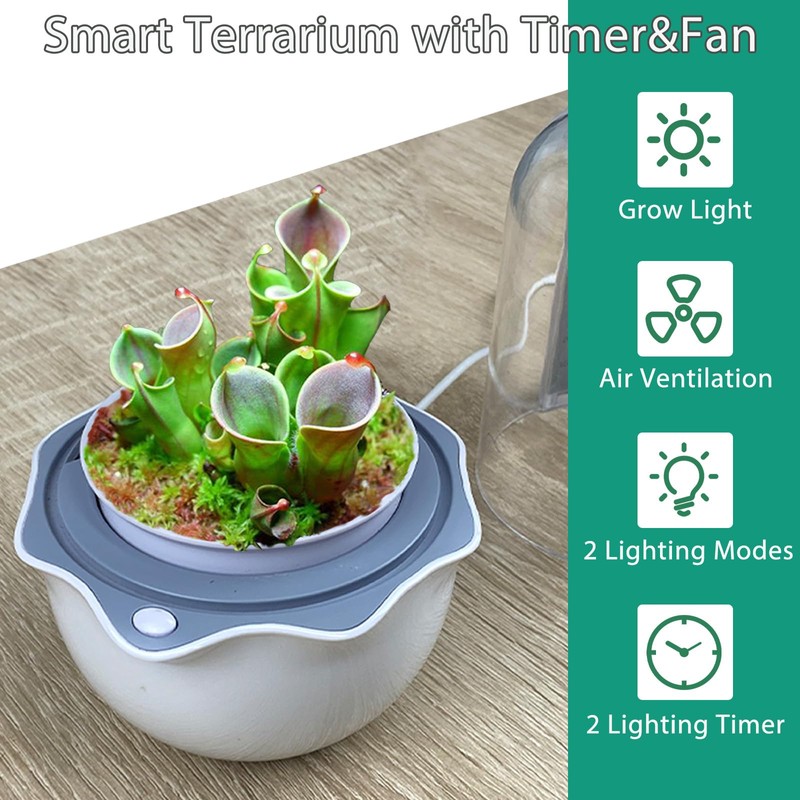 Ronjregan Smart Planter with Timer and Fan, Small Terrarium Kit