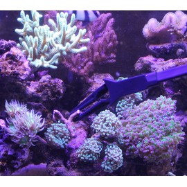AquaticHI Aquarium Tongs 27 inch (70 cm), 100% Reef Safe, Multi Purpose for Fresh and Saltwater Fish Tanks, Clip Plants, Spot Feed Fish and Coral, Keep Hands Dry
