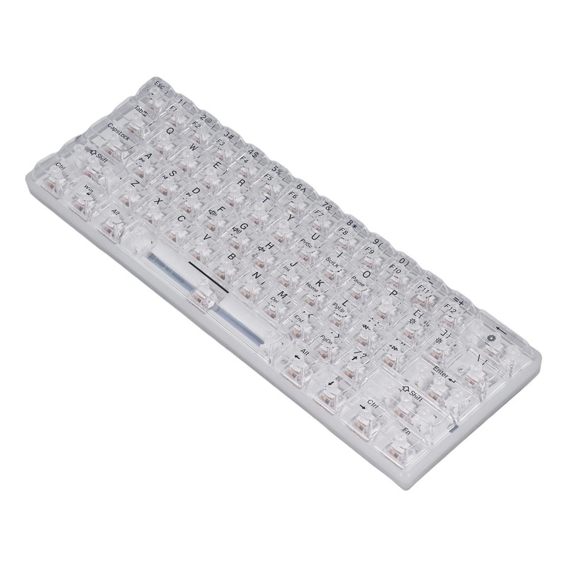 61 Keys Transparent Mechanical Keyboard Clear Keycap Wired Gaming Keyboard