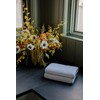 Cozy Earth Heathered Harbor Mist Bath Towel