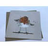 Wrendale Designs by Hannah Dale - Christmas Colours - Luxury