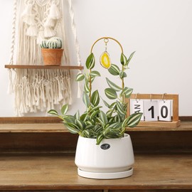 Ceiner 2PCS Small Gold Trellis for Climbing Plants Indoor, Mini Metal Houseplant Climber Support for Potted Plants, Boho Decorative Pot Lattice with Agate for Hoya, Pothos, Ivy, Philodendron