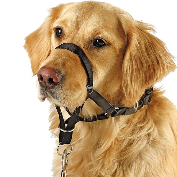 BARKLESS Soft Dog Head Collar, No Pull Training Tool for