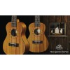 PukanaLa Model PU-NVS Soprano Ukulele with Sapele Mahogany Top, Back