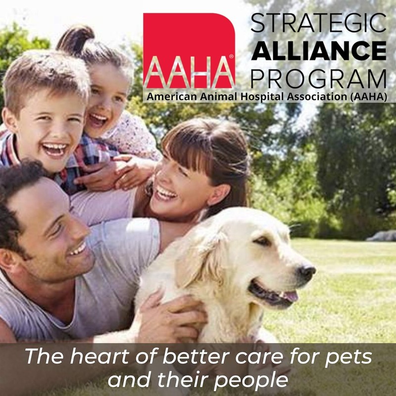 REScue One-Step Disinfectant Cleaner & Deodorizer Wipes for Vet Use