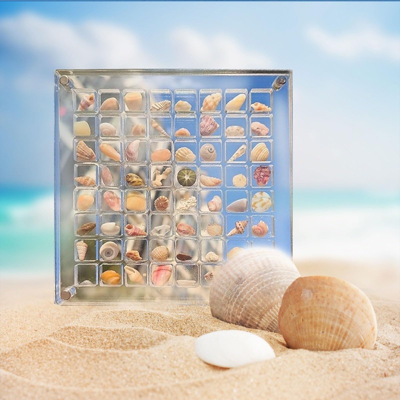 Goiern Acrylic Magnetic Shell Display Box Shell Storage Box Decorative