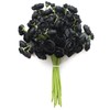Floroom Ranunculus Artificial Flowers 18 Pcs Black Faux Silk Mini