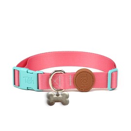 Toh Adjustable Dog Collar with ID Tag – Soft Polyester, Quick Release Buckle – Durable, Waterproof, Cute Dog Collar – Puppy Collar, Stylish Pet Accessories (Fiji, XSmall)