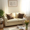 QIFONIX Leopard Print Throw Pillow Covers,Plush Faux Fur (Brown,18" x
