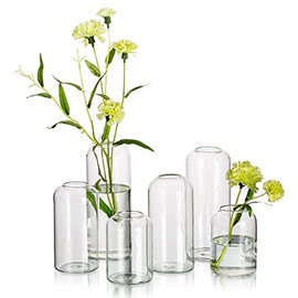 Glass Bud Vases for Flowers - Hewory Blown Modern Small Glass Vases for Centerpieces Set of 6, Mini Clear Bulk Flower Vases for Wedding Party Events Home Decor Floral Arrangements (Not Include Flower)