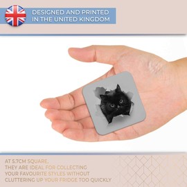 Destination Vinyl ltd Fridge Magnet bw - Funny Black Cat Kitten #43895