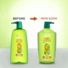 Garnier Hair Care Fructis Sleek and Shine Shampoo, 33.8 Fluid