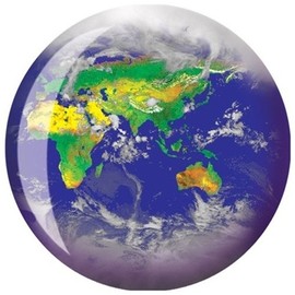 Globe Viz-A-Ball Bowling Ball (10lbs)