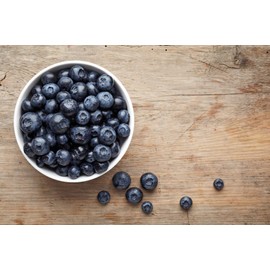 Papa Steve's No Junk Raw Protein Bars: 20g Whey Protein, Non GMO, Gluten Free, 100% Natural, Hand-Made Weekly - Blueberry Almond Crunch (Pack of 10)