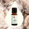 Plant Therapy Copaiba Oleoresin 10 mL (1/3 oz) 100% Pure,