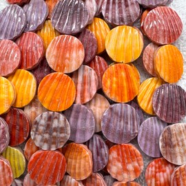 ABCGEM Philippine Rainbow Nobel Pectin Scallop Shell - Natural Organic SeaShell DIY Jewelry Making - Ideal for Necklaces, Bracelets - Healing, Energy, Meditation - Gigantic, Coin, 40mm, 10 Beads