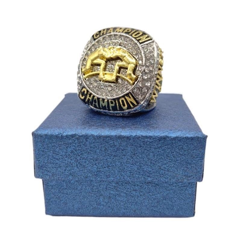 Customize Pro Wrestling Winner Championship Rings Medal Trophy Prize (Paper,9)