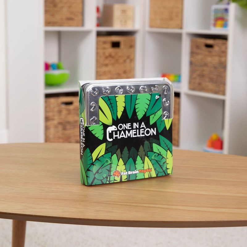 at Brain Toys One in a Chameleon Wicker Pot 6