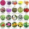 20 Bags Dried Flowers,100% Natural Dried Flowers Herbs Kit for