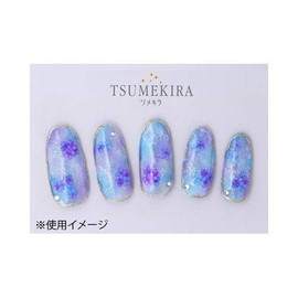 TSUMEKIRA NN-AJI-101 Nail Stickers, Hydrangea, Blue/Purple, 1 Sheet (x 1)