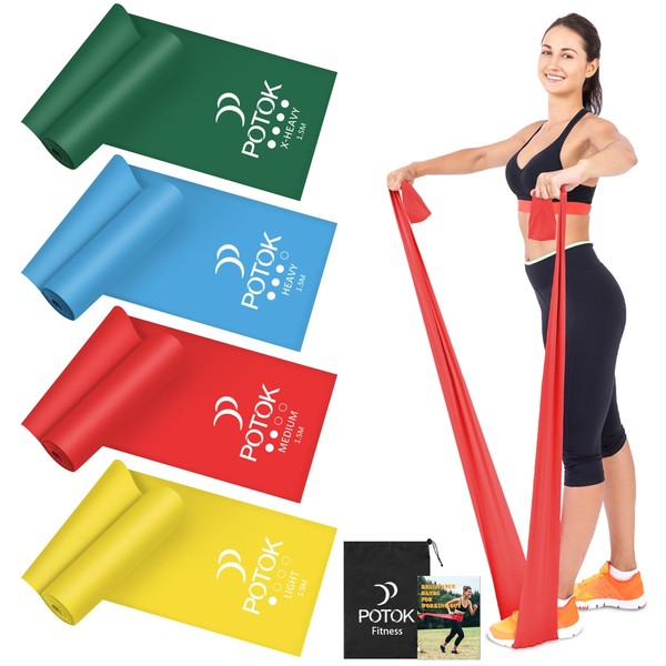 Resistance Exercise Band Kit - 4 Pack Resistance Bands for Women or Men,Physiotherapy Recovery Fitness Band for Mobility Strength & Rehab Premium Quality