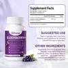 ELVERA Elderberry Gut Support | 1200mg Elderberry Extract, Vitamin C,