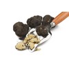 Elle Esse - Italian Black Summer Truffle Breakings - 12 oz (340g)