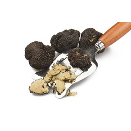 Elle Esse - Italian Black Summer Truffle Breakings - 12 oz (340g)