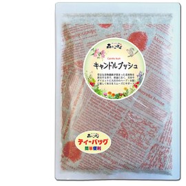 森のこかげ キャンドルブッシュ (2g×70p 内容量変更) (残留農薬検査済) ゴールデンキャンドル ハナセンナ ハーブTB