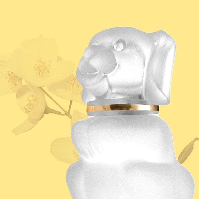 Boby Cologne, Perfume for Baby, Unisex , Floral Scent, Perfume