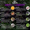 HerbaMe Advanced Immune System Booster 15 in 1 with Elderberry,
