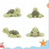 YSBCNK ﻿ ﻿ 28 cm Little Turtle Plush Toy, Turtle
