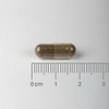 Lamberts Metabolic Weight Support Capsules – Metabolaid® Lemon Verbena &