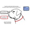 A K9 Bully Dog Tactical Combat Dog Collar with Control