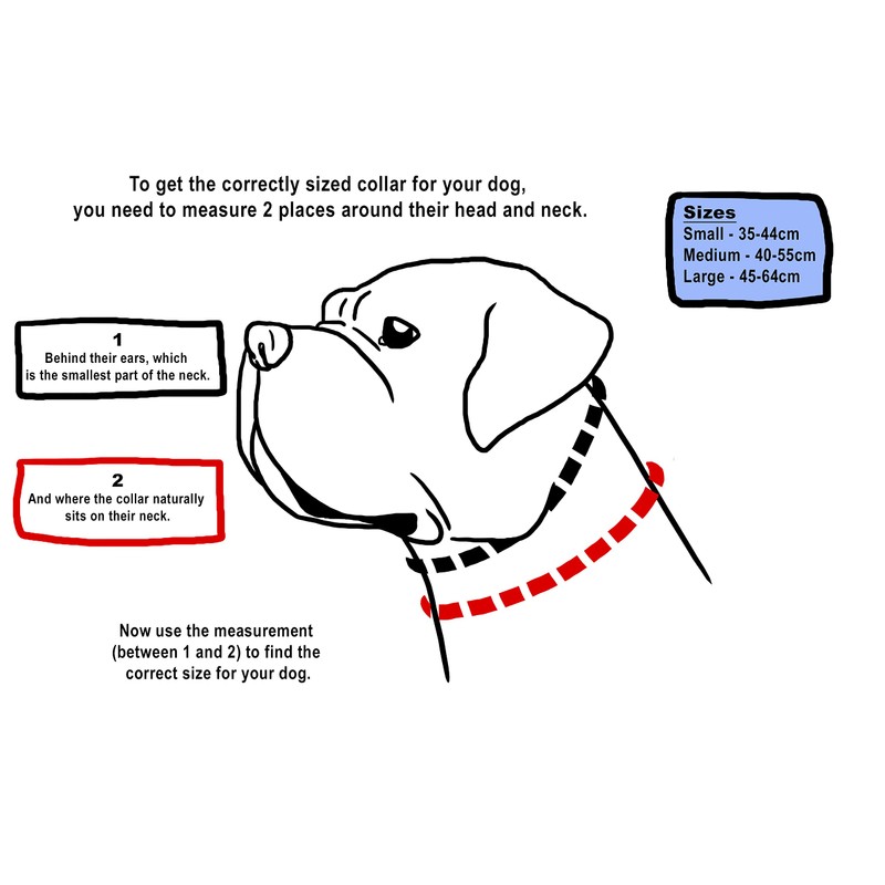 A K9 Bully Dog Tactical Combat Dog Collar with Control