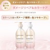 LUX Luminique Balance Damage Repair & Color Care Conditioner (Treatment)